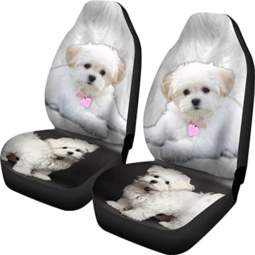 חמוד מלטזית כלב הדפסת רכב מושב מכסה כושר אוניברסלי רכב מושב מכסה-חמוד מלטזית כלב הדפסת רכב מושב מכסה